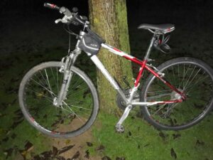 Používání kol a koloběžek ve společnostech Na obrázku můžete vidět kolo opřené o strom.