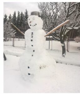 obrázek ukazuje sněhuláka.